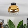Ripoll Ceiling Light - glass 25 cm gold, clear, 1-light source