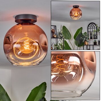 Ripoll Ceiling Light - glass 25 cm clear, coppery, 1-light source