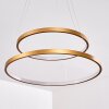 Canisteo Pendant Light LED gold, 2-light sources
