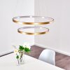 Canisteo Pendant Light LED gold, 2-light sources