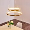 Canisteo Pendant Light LED gold, 2-light sources