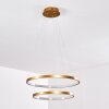 Canisteo Pendant Light LED gold, 2-light sources