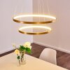 Canisteo Pendant Light LED gold, 2-light sources