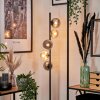 Remaisnil Floor Lamp - glass 10 cm, 12 cm black, 5-light sources