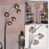 Gastor Floor Lamp - glass 15 cm clear, Smoke-coloured, 5-light sources