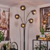 Gastor Floor Lamp - glass 15 cm clear, Smoke-coloured, 5-light sources