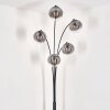 Gastor Floor Lamp - glass 15 cm clear, Smoke-coloured, 5-light sources