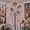 Gastor Floor Lamp - glass 15 cm clear, Smoke-coloured, 5-light sources