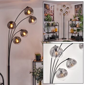 Gastor Floor Lamp - glass 15 cm clear, Smoke-coloured, 5-light sources