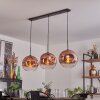 Ripoll Pendant Light - glass 30 cm clear, coppery, 3-light sources