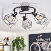 Yaak Ceiling Light black, 3-light sources