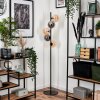Remaisnil Floor Lamp - glass 15 cm Amber, Smoke-coloured, 5-light sources