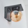 Aquin Outdoor Wall Light anthracite, 1-light source