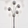 Ripoll Floor Lamp - glass 15 cm Smoke-coloured, 5-light sources