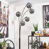 Ripoll Floor Lamp - glass 15 cm Smoke-coloured, 5-light sources