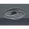 Trio GALE Ceiling Light LED black, 1-light source