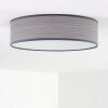 Chazy Ceiling Light white, 2-light sources