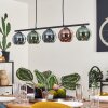Belp Pendant Light black, 5-light sources