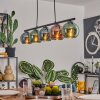 Belp Pendant Light black, 5-light sources