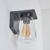 Aquin Outdoor Wall Light anthracite, 1-light source