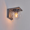 Aquin Outdoor Wall Light anthracite, 1-light source