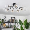 Chehalis Ceiling Light - glass 12 cm, 15 cm gold, black, 8-light sources