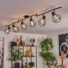 Yaak Ceiling Light black, 6-light sources