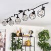 Yaak Ceiling Light black, 6-light sources