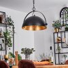 Baloutas Pendant Light black, 1-light source