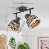 Barayn Ceiling Light black, 2-light sources