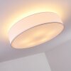 Skelbaek Ceiling Light matt nickel, 5-light sources