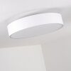 Skelbaek Ceiling Light matt nickel, 5-light sources