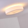 Skelbaek Ceiling Light matt nickel, 5-light sources