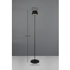 Reality SUAREZ Floor Lamp LED black, 1-light source