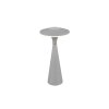 Reality TORREZ Table lamp LED grey, 1-light source