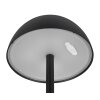 Reality RICARDO Table lamp LED black, 1-light source