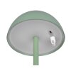 Reality RICARDO Table lamp LED green, 1-light source