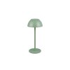 Reality RICARDO Table lamp LED green, 1-light source
