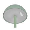 Reality RICARDO Table lamp LED green, 1-light source