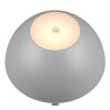 Reality RICARDO Table lamp LED grey, 1-light source