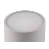Reality Fernandez Table lamp LED grey, 1-light source