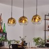 Ripoll hanging light gold, clear, 3-light sources