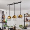 Ripoll hanging light gold, clear, 3-light sources