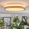 Sofo ceiling light LED white, 1-light source