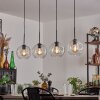 Ripoll pendant light black, 4-light sources