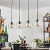Ripoll pendant light black, 4-light sources