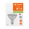 Ledvance Lights E27 LED 15.2 Watt warm white dimmable 1035 Lumen