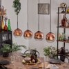 Ripoll pendant light clear, coppery, 4-light sources