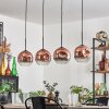 Ripoll pendant light clear, coppery, 4-light sources
