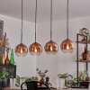 Koyoto pendant light clear, coppery, 4-light sources